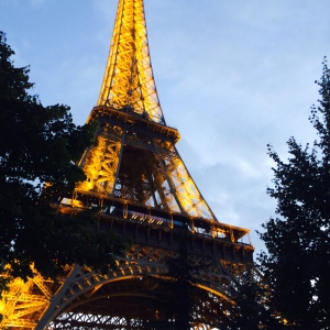 my view from the park bench of the Eiffel tower as the sun set....